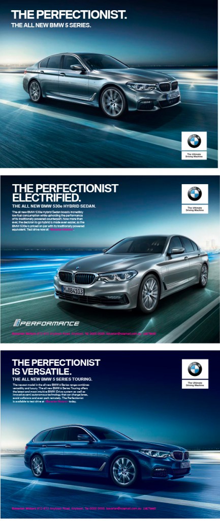 ThePerfectionist